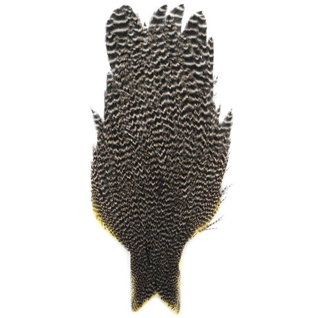 Cou de poule Whiting grizzly  