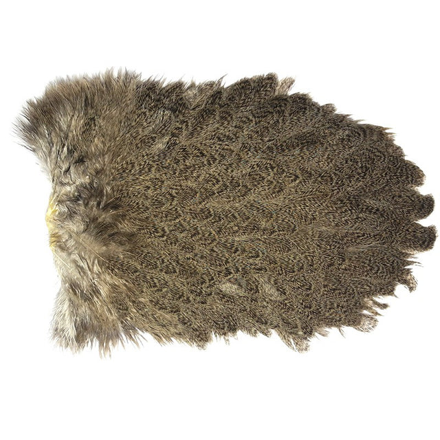 cou Whiting Brahma gris