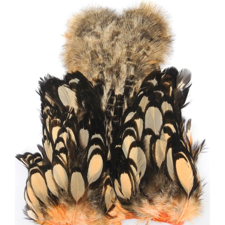 Cou de poule Chickabou whiting saumon