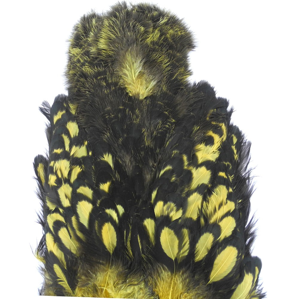 Cou de poule Chickabou whiting olive