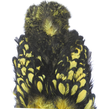 Cou de poule Chickabou whiting olive