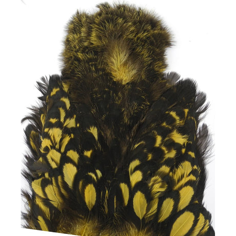 Cou de poule Chicka whiting goldenolive