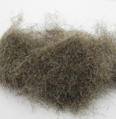 Ecureuil Grey squirrel Wapsi