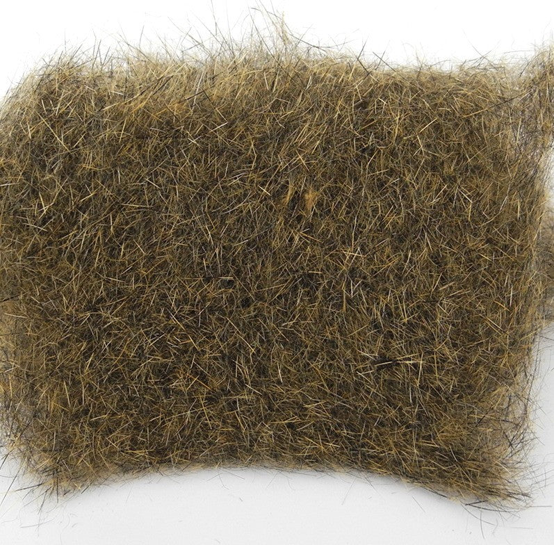 Ecureuil Fox squirrel Wapsi