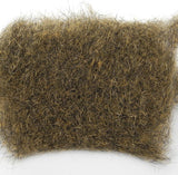 Ecureuil Fox squirrel Wapsi