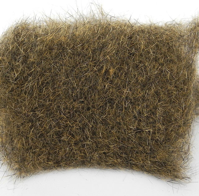 Ecureuil Fox squirrel Wapsi