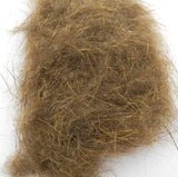 Castor naturel beaver  Wapsi