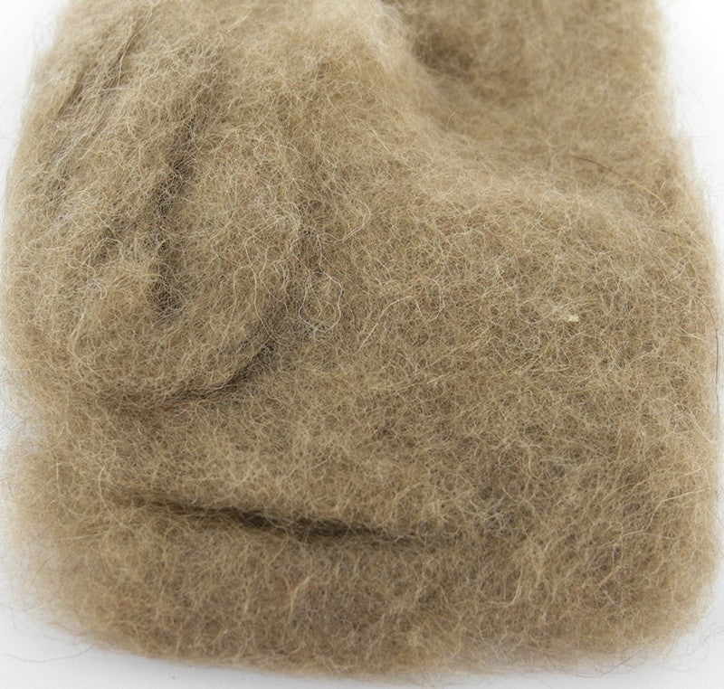 Opossum naturel Australien Wapsi