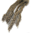 Bandelettes lapin Caleri 3mm gris naturel