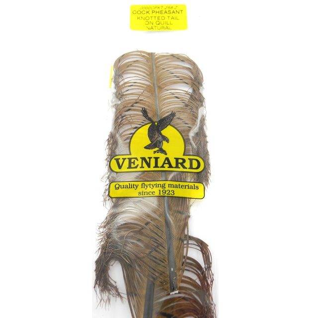 Pattes de hopper sur plume faisan