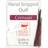 Quill de paon ébarbé Polish quill 