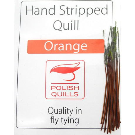 Quill de paon ébarbé Polish quill 
