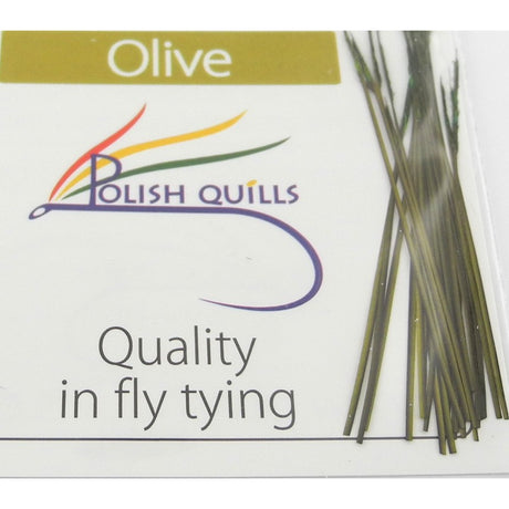 Quill de paon ébarbé Polish quill 