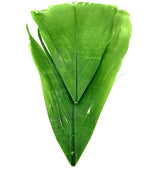 Plume Substitut de Condor