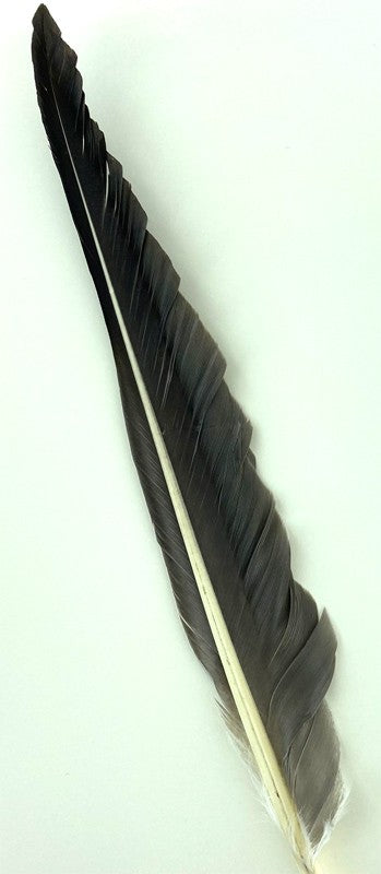 Plumes d'aile de dinde 2 en 1