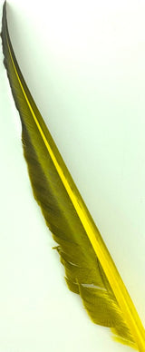 Plumes d'aile de dinde 2 en 1