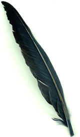 Plumes d'aile de dinde 2 en 1