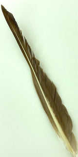 Plumes d'aile de dinde 2 en 1