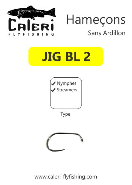 Hameçons JIG BL 2