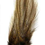 Plumes Lancettes Pardo SUPRÊME