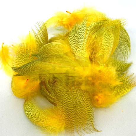 Flanc de Canard Sunburst Yellow