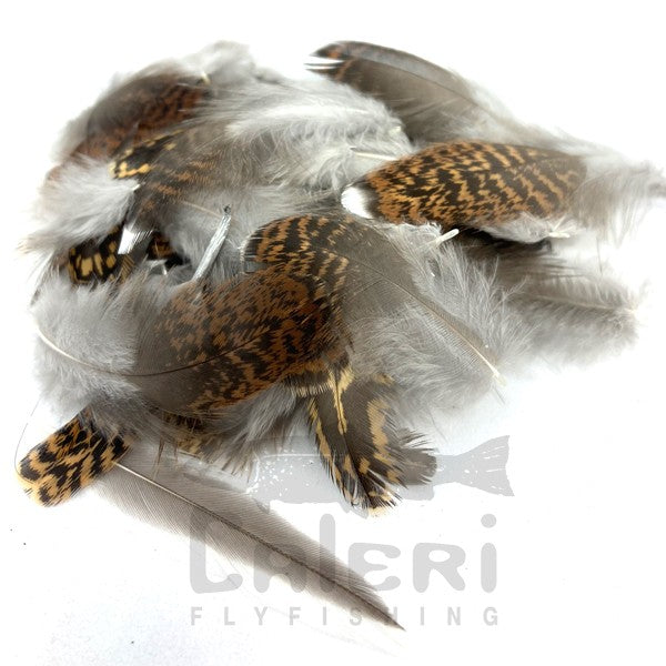 Plumes de Grouse Veniard