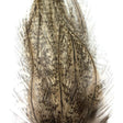 Plumes Lancettes Pardo SUPRÊME