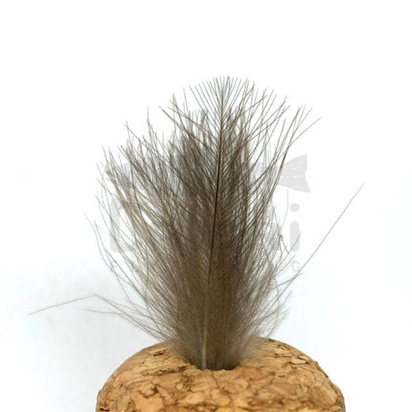 CDC SAUVAGE pour la pêche à la mouche couleur naturel