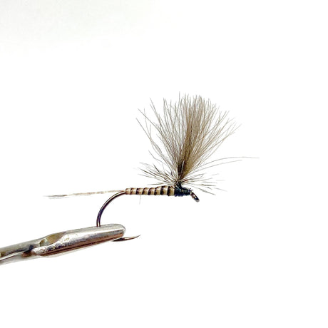 Parachute CDC Naturel