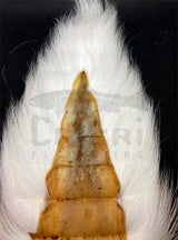 Bucktail Large Veniard pour montage de mouches carnassier