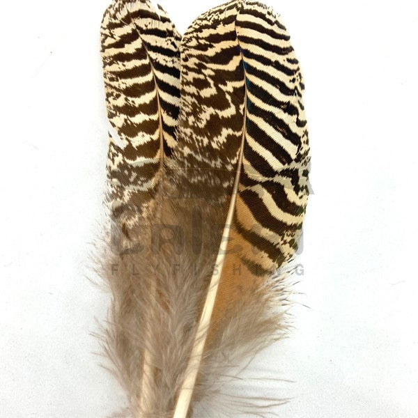 Paire de Plumes de Dindon Ozark