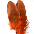 Paire de Plumes de Dindon Ozark - Roux