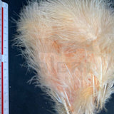 Turkey Marabou - Large Selected VENIARD