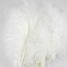 Plumes de Marabou HENDS