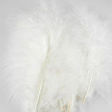 Plumes de Marabou HENDS