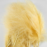 Plumes de Marabou HENDS
