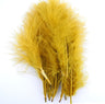 Plumes de Marabou HENDS