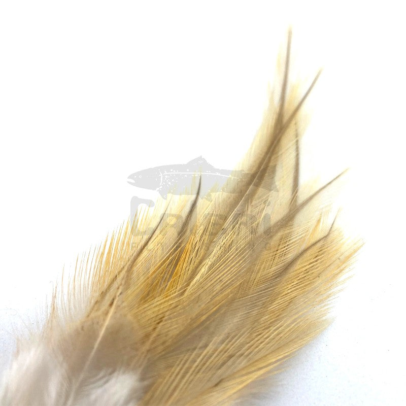 Plumes Lancettes Pardo SUPRÊME