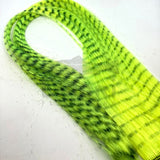 Grizzly Hair VENIARD