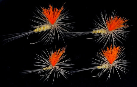 La Para Paille - Toupet Orange