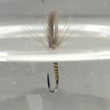 Shuttlecock Golden Olive