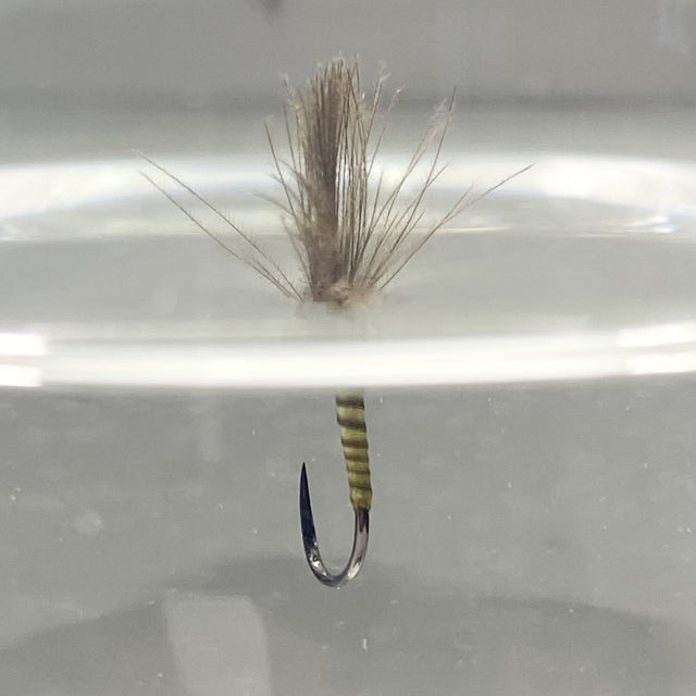 Shuttlecock Golden Olive