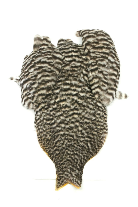 Cou de Poule Whiting 4 B's Hen Cape