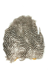 Selle de Coq Soft Hackle Whiting - Rooster Saddle