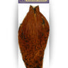 Cou de Coq Withing - American Rooster Cape