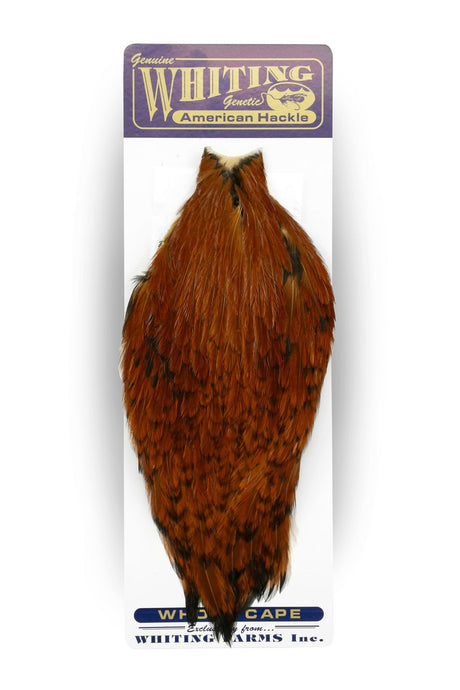 Cou de Coq Withing - American Rooster Cape