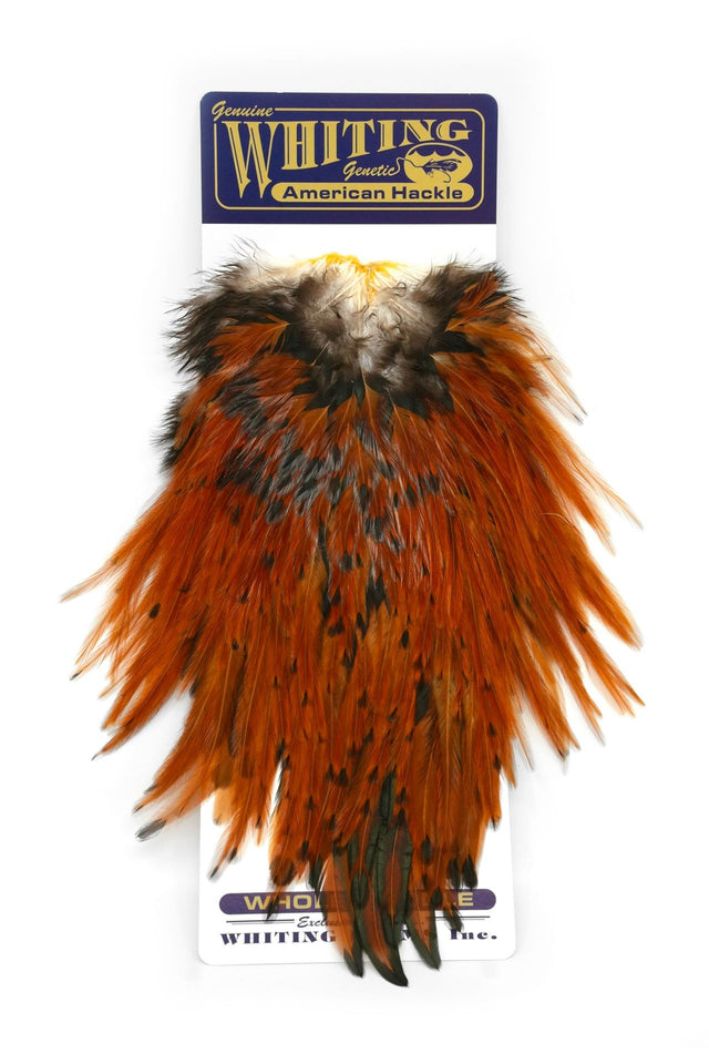 Selle de Coq Withing - American Rooster Saddle