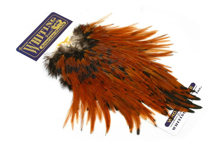 Selle de Coq Withing - American Rooster Saddle