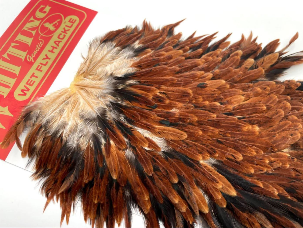 Selle de Poule Withing - Hen Saddle - Wet Fly Hackle