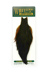 Cou de Poule Whiting Herbert Miner Wet Fly Hackle